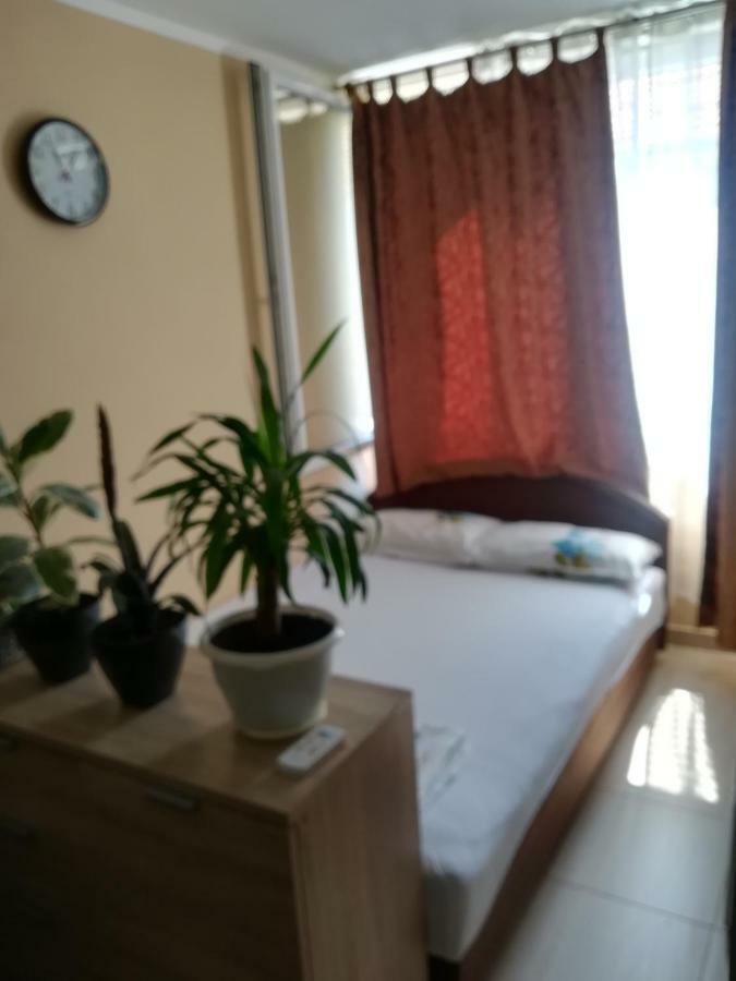 Apartments Vis Jaz Budva Eksteriør bilde